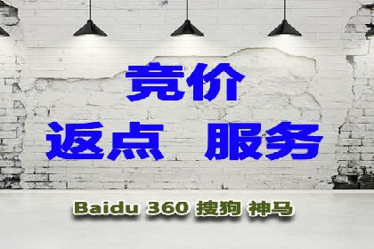 企业案例：SEM推广代运营成果展示